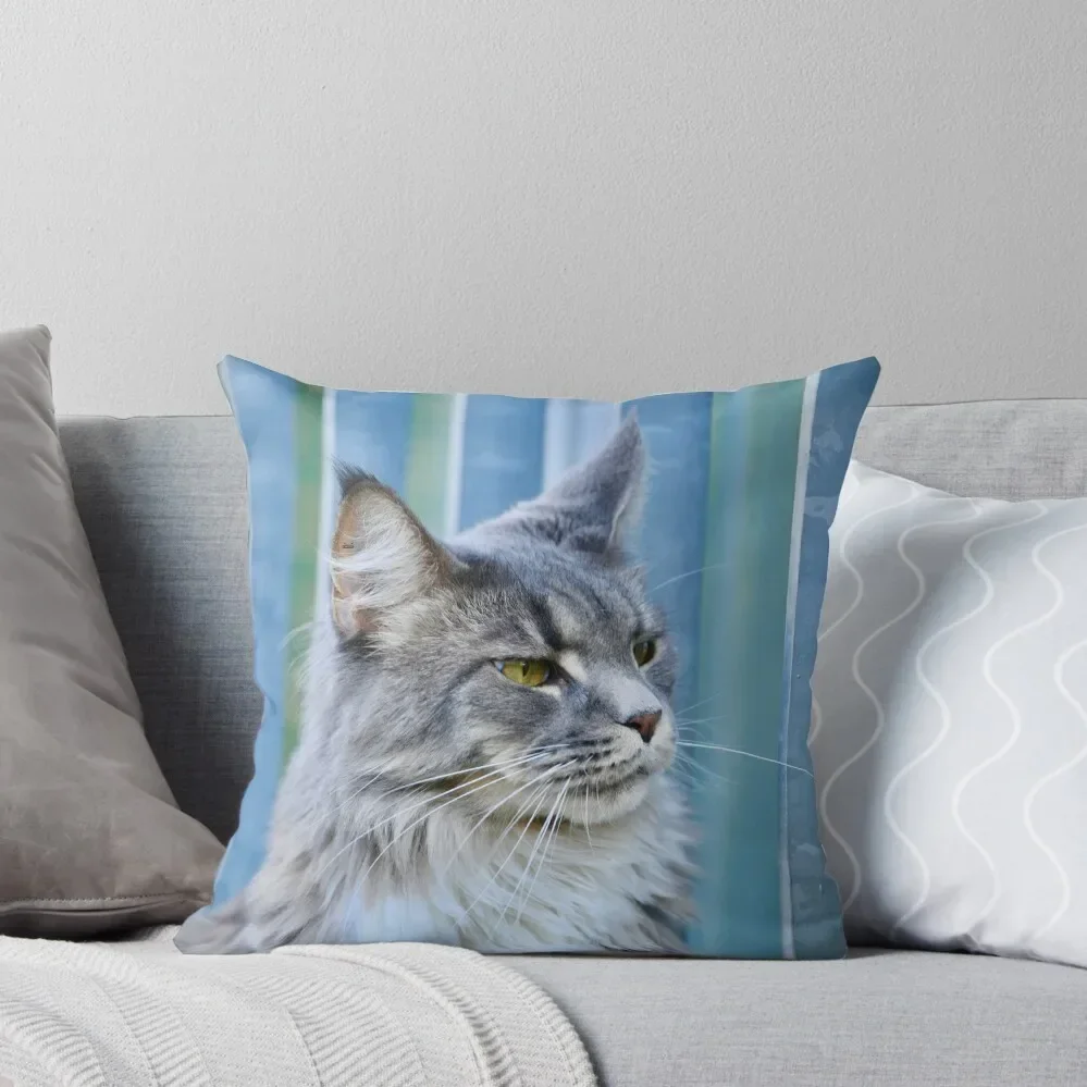 Maine Coon azul/suiza ilustraciones fotografía cojines funda de almohada almohada de Navidad