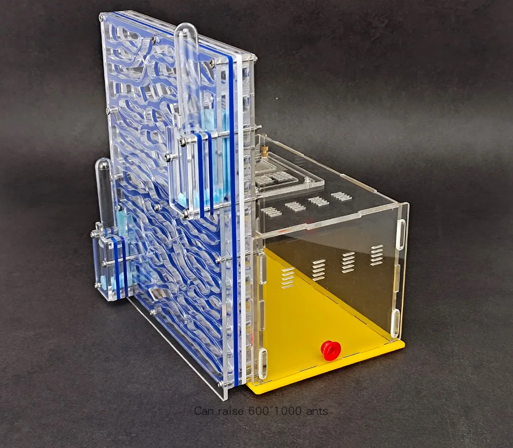 Ant Ecological Box … - image