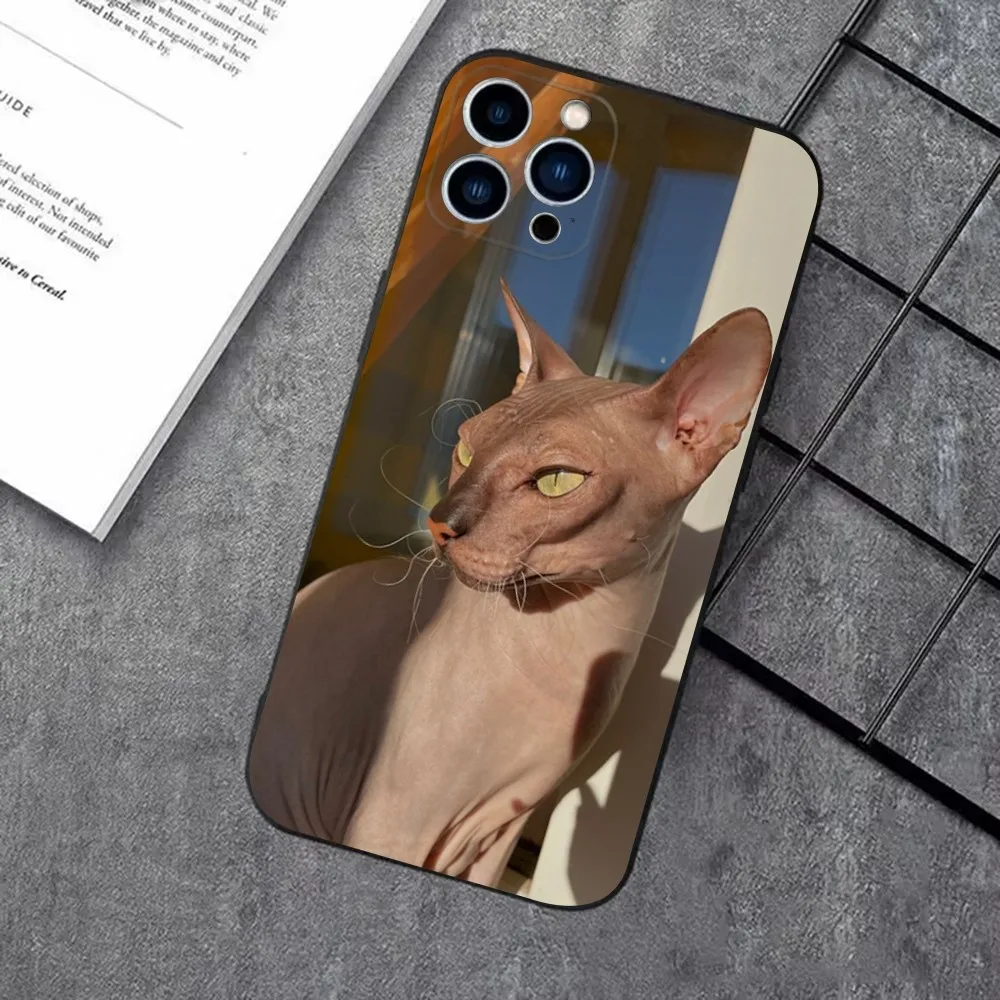 Pet Sphynx Sphinx Cat Phone Case For iPhone 16,15,14,13,12,11 Plus,Pro Max,XS,X,XR,SE,Mini,8,7，Soft Silicone Black Cover