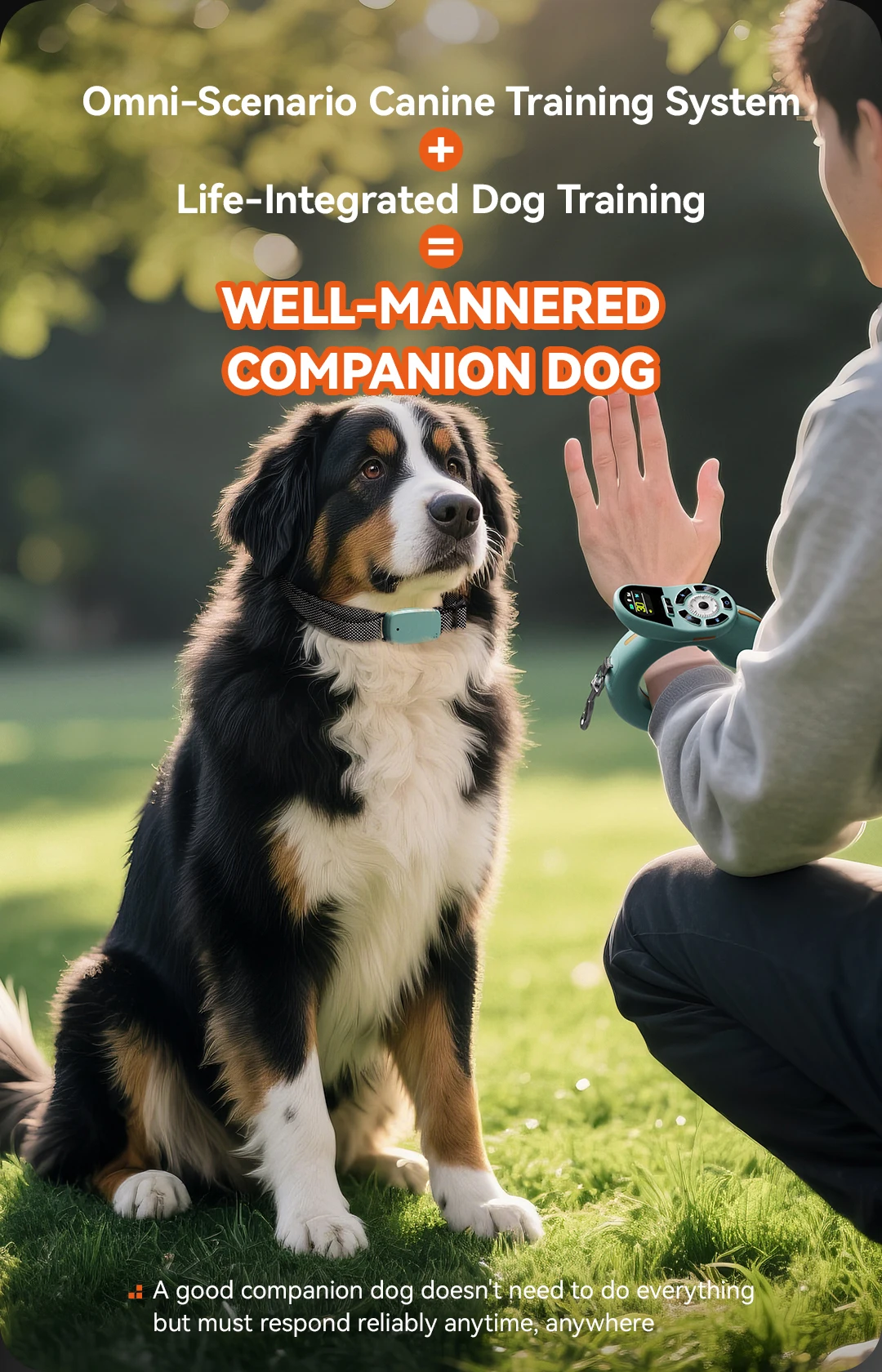 OEM/ODM Leash Dog Training Collar and Leash Sets for Dogs Automatic and Manual Integrated Dog Training Equipment