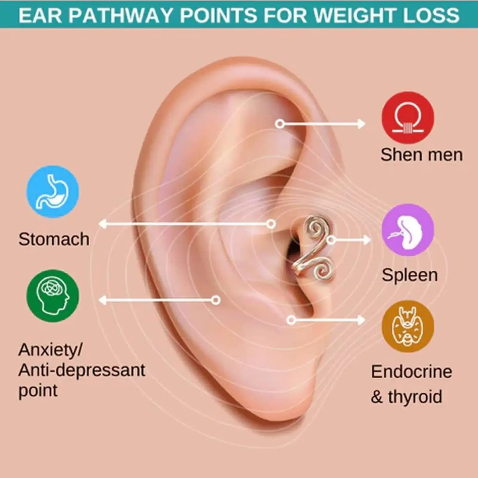 Acupressão Emagrecimento Brincos para Perda de Peso, Brincos Não Piercing, Acupontos Acupressão Clipe, Saúde