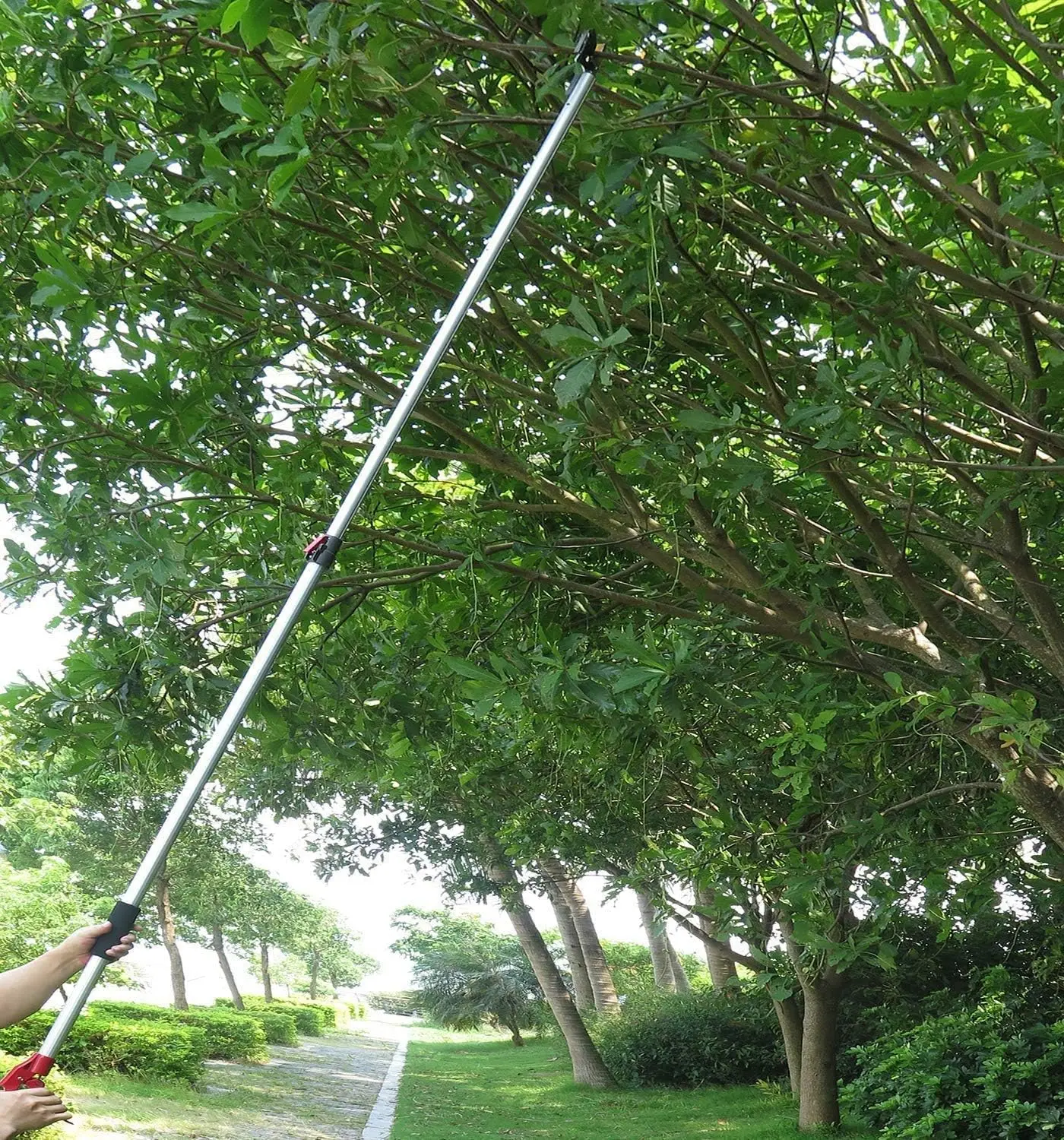 آلة تشذيب الأشجار قابلة للتمديد مع ضبط 4 عقد ، منشار القطب للوصول إلى القص ، قص وعقد ، طول-13 قدم ، قسمين