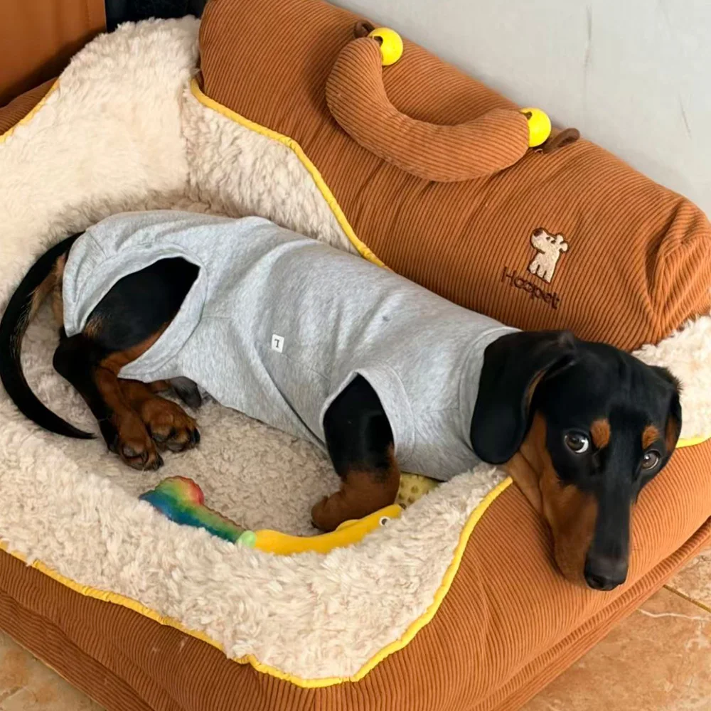 Pijama de algodón para Dachshund miniatura – Ropa de verano para perro salchicha - imagen 4