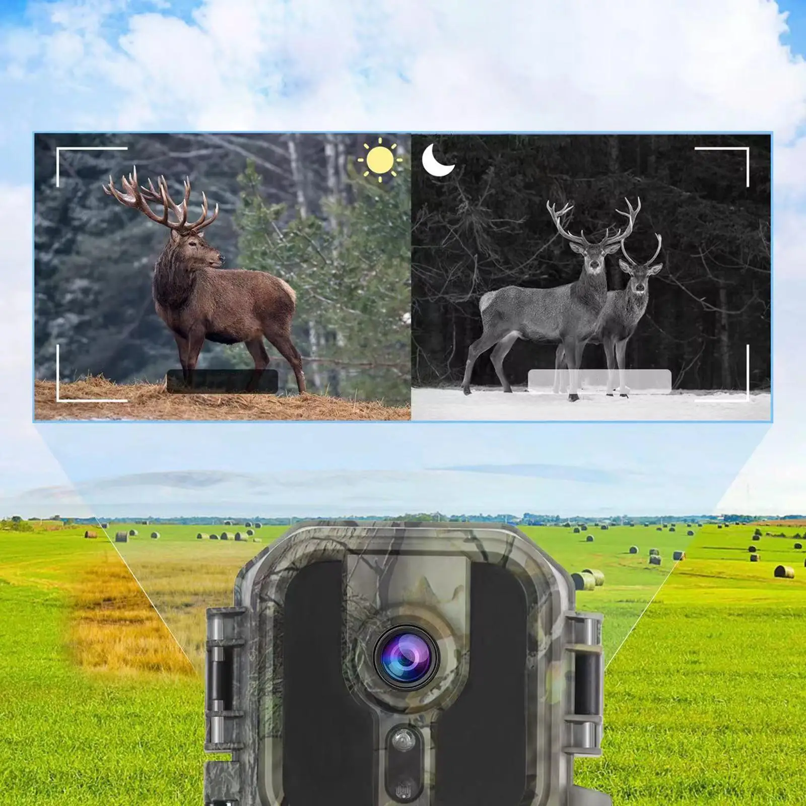 

Trail Camera Waterproof Night Light for Camping Outside Wildlife