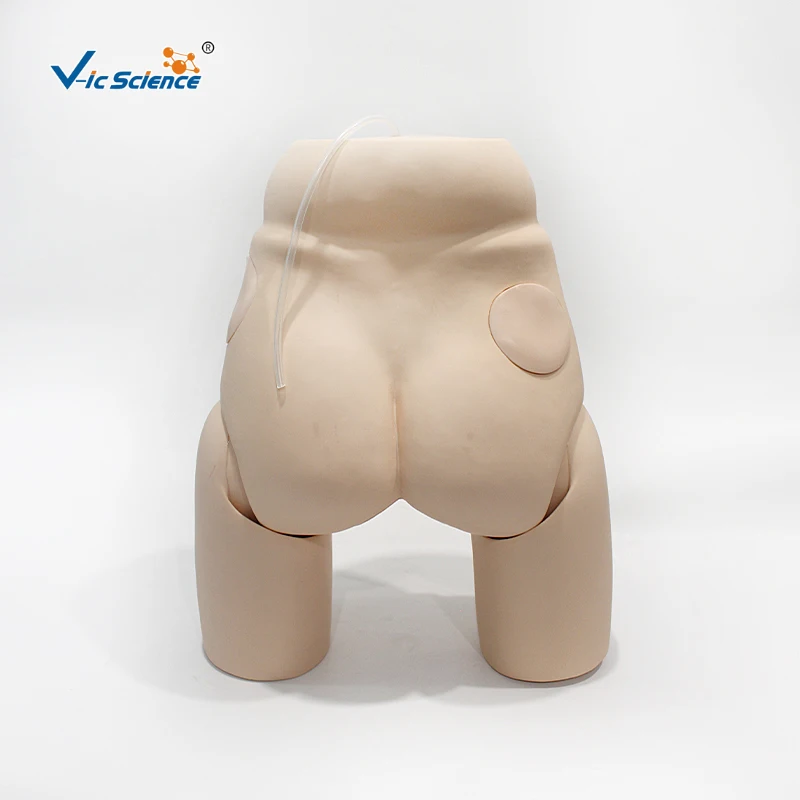 Advanced Female Urethral Catheterization Simulator Electronic Urinary Model for Training
