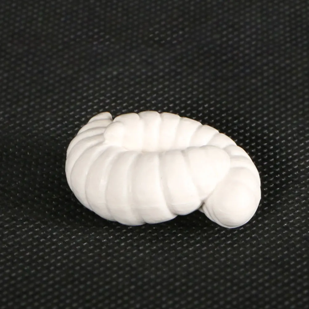 

1Set Ant Growth Stage Display Ornament Durable Creative Educational Use Life Cycle of Ant Animal Adornment Animal Model