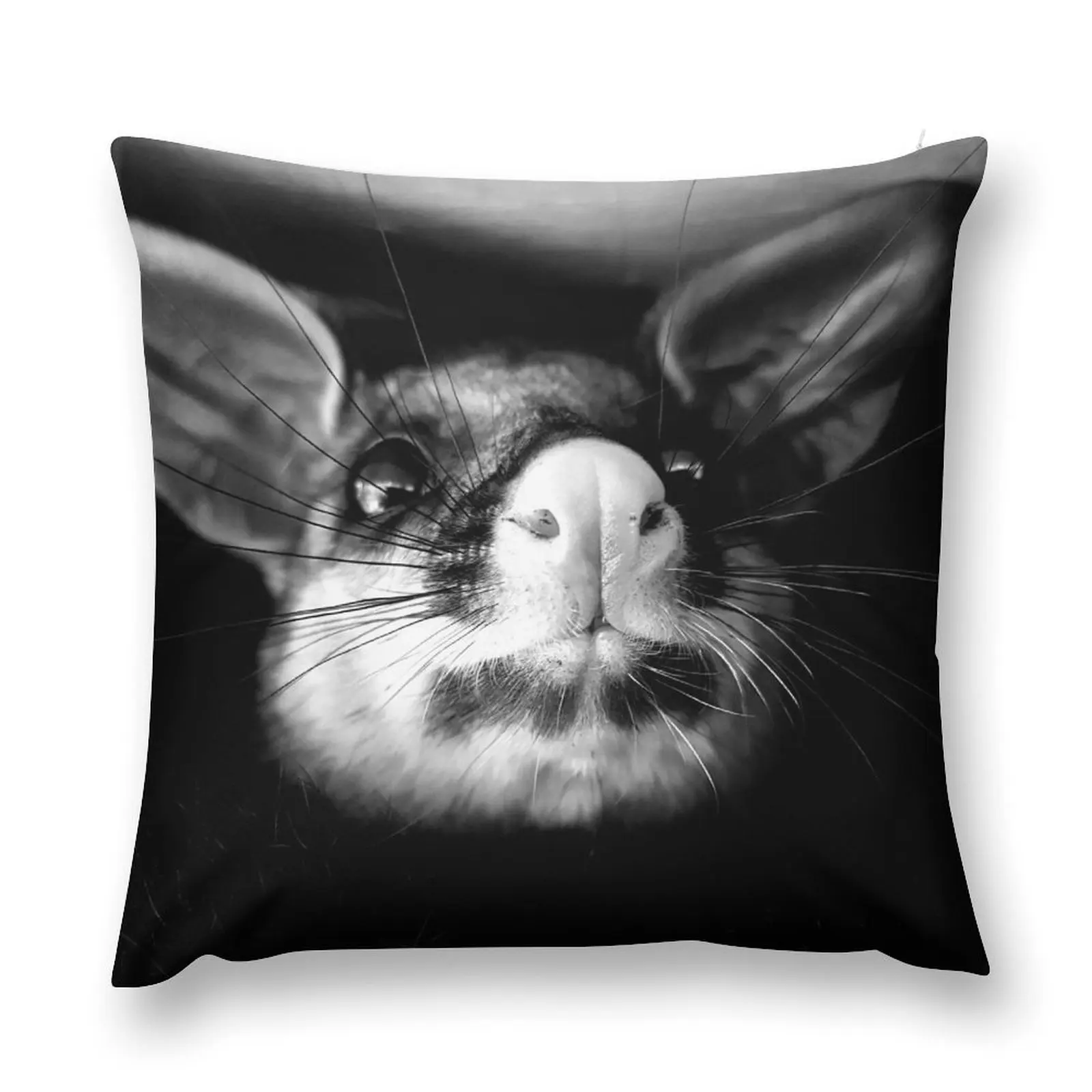 Australian Native Brushtail Possum Throw Pillow Christmas Covers Decorative Sofa Cushion pillow