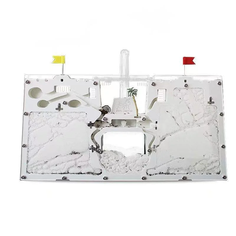 

Комплект замка фермы муравья с гнездом, коробка для дома для детей, научный класс, домашний дисплей, подарок на день рождения, образовательный