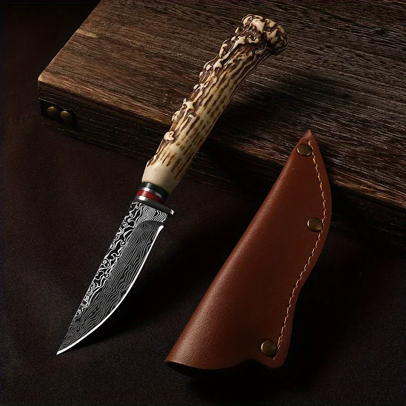 Outdoor forged stainless steel multi-function knife Mini sharp carving knife with holstered kitchen tools