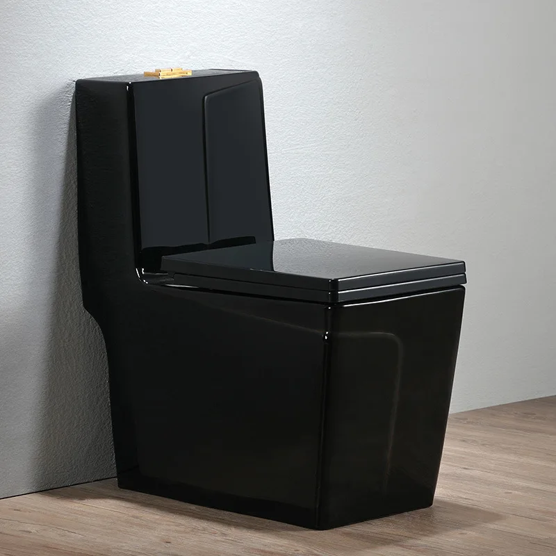 European-Style Black Household Flush Toilet Water-Saving Siphon Odor-Proof Silent Seat One Piece WC