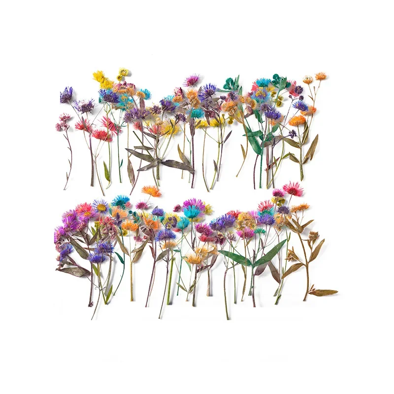 

5-7cm/24pcs,natural mini flower branches,pressed plant DIY dripping glue phone case,handmade dried flowers photo frame nail art