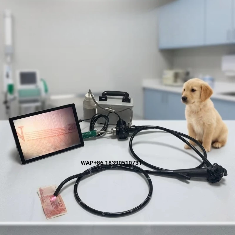 Veterinary Equipment EX-60 Veterinary Endoscope Animal Flexible Universal Serial Bus Animal Microscope