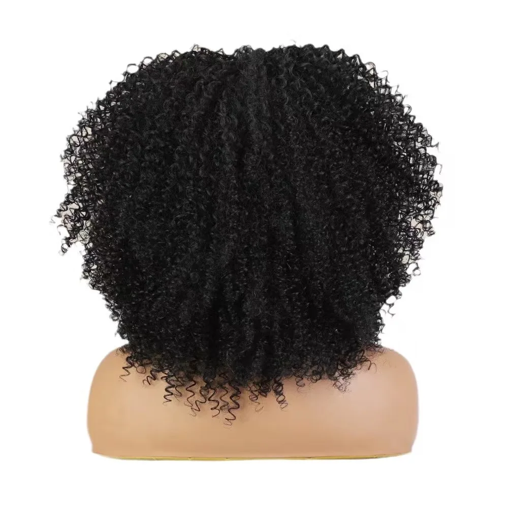 Synthetic wig naturally fluffy Africa little curls black wigs for women