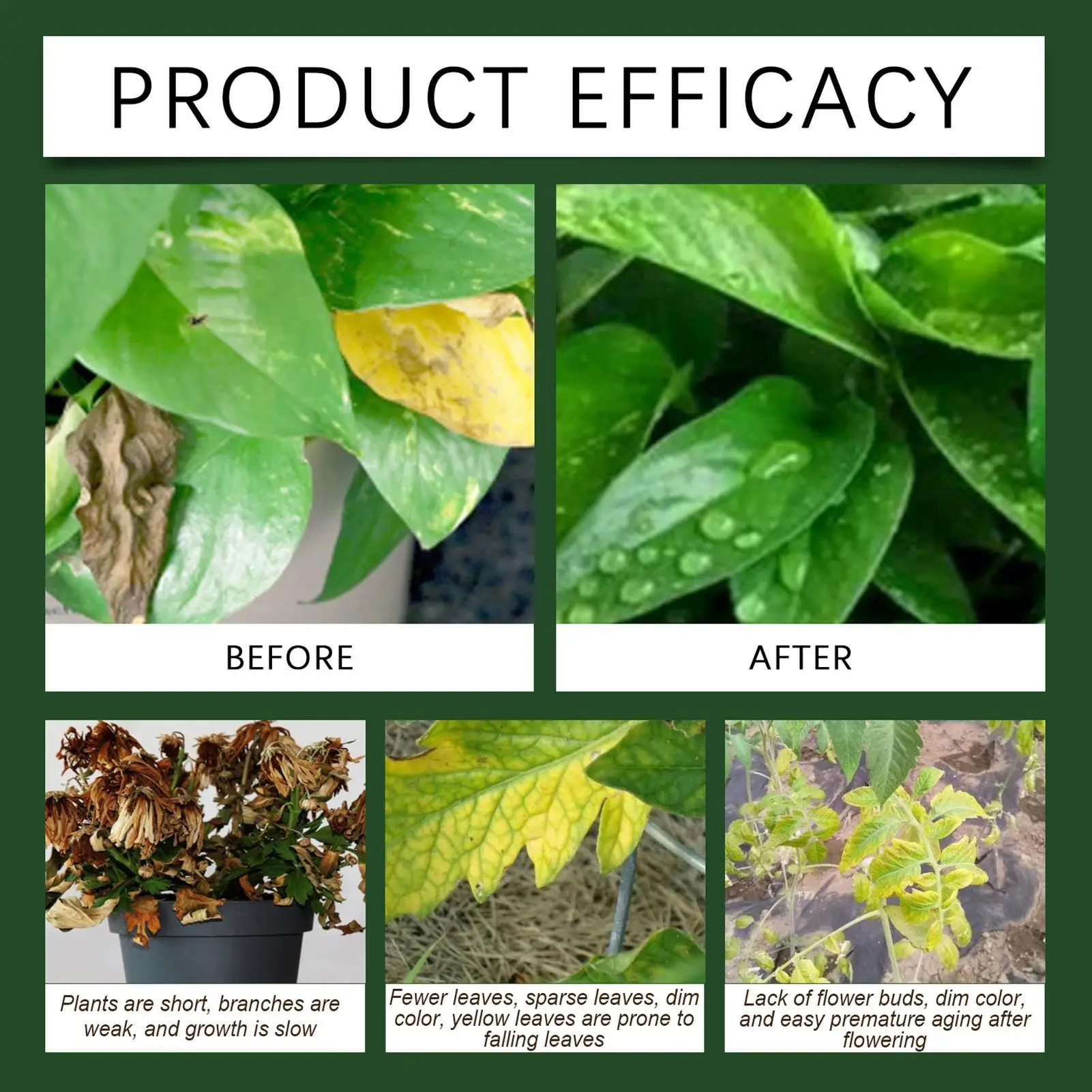 100 جرام مسحوق الأسمدة النباتية نمو النبات الأسمدة المغذية مكمل تأصيل آمن وفعال لزراعة التربة المائية #6