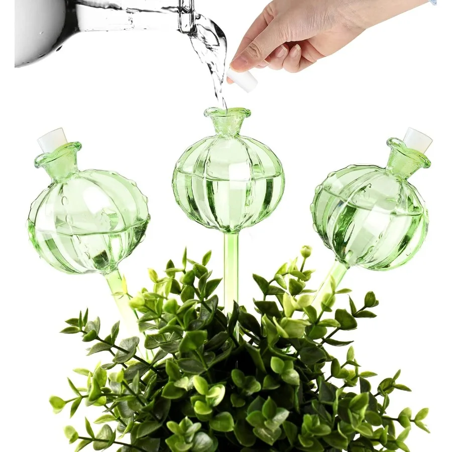 

Self Watering Planter Insert. Plant Watering Devices. 3Pack Cactus Plant Watering Bulbs. Plant Watering Globes. Plant Gifts Pla
