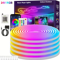 DC24V 30M Waterproof RGB LED Neon Rope Lights Color Change Music Sync with App/Remote Control Flexible Lamp for Indoor Outdoor