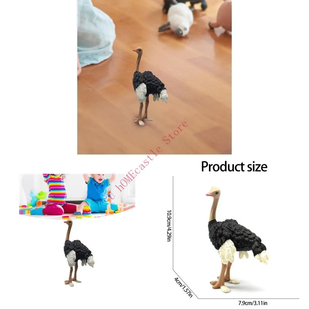 63HF Ostrichs Figurines Playset Realistic Detailed Ostrichs Figures Educational Learning Toy Wildlife Animals Ostrichs Model
