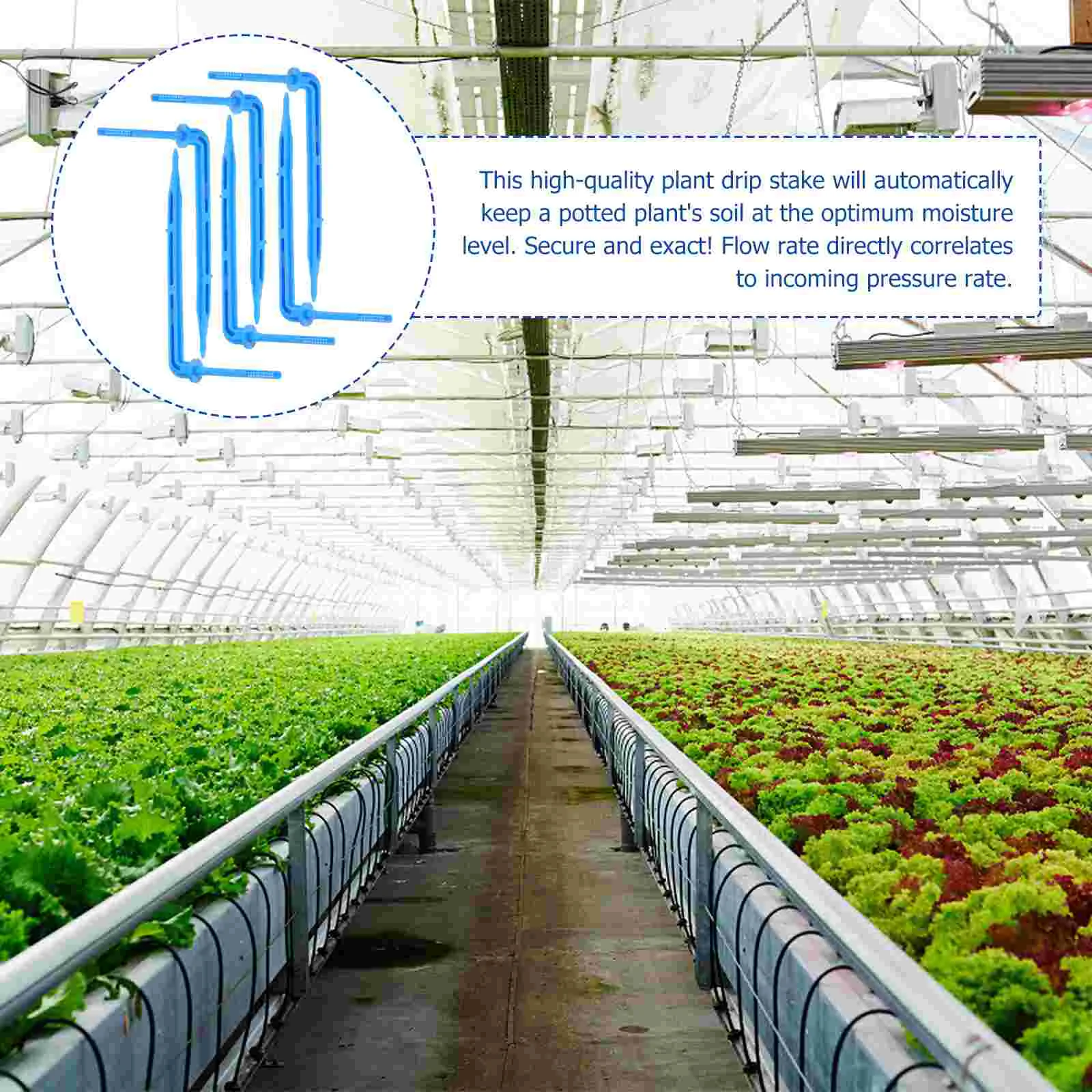 100PCS Indoor Plants Automatic Drip Irrigation Watering System Flower Pot Watering Tool Drip Stake automatic drip stake