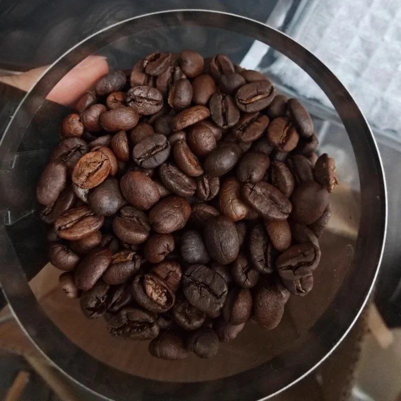 110 فولت/220 فولت محمصة حبوب البن آلة تحميص حبوب البن المدمجة المنزلية الهواء الساخن نوع آلة تجفيف حبوب البن