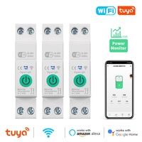 Tuya WiFi MCB Smart Circuit Breaker Over Current Under Voltage Protection Power Metering 1-63A Remote Control Google Home Alexa