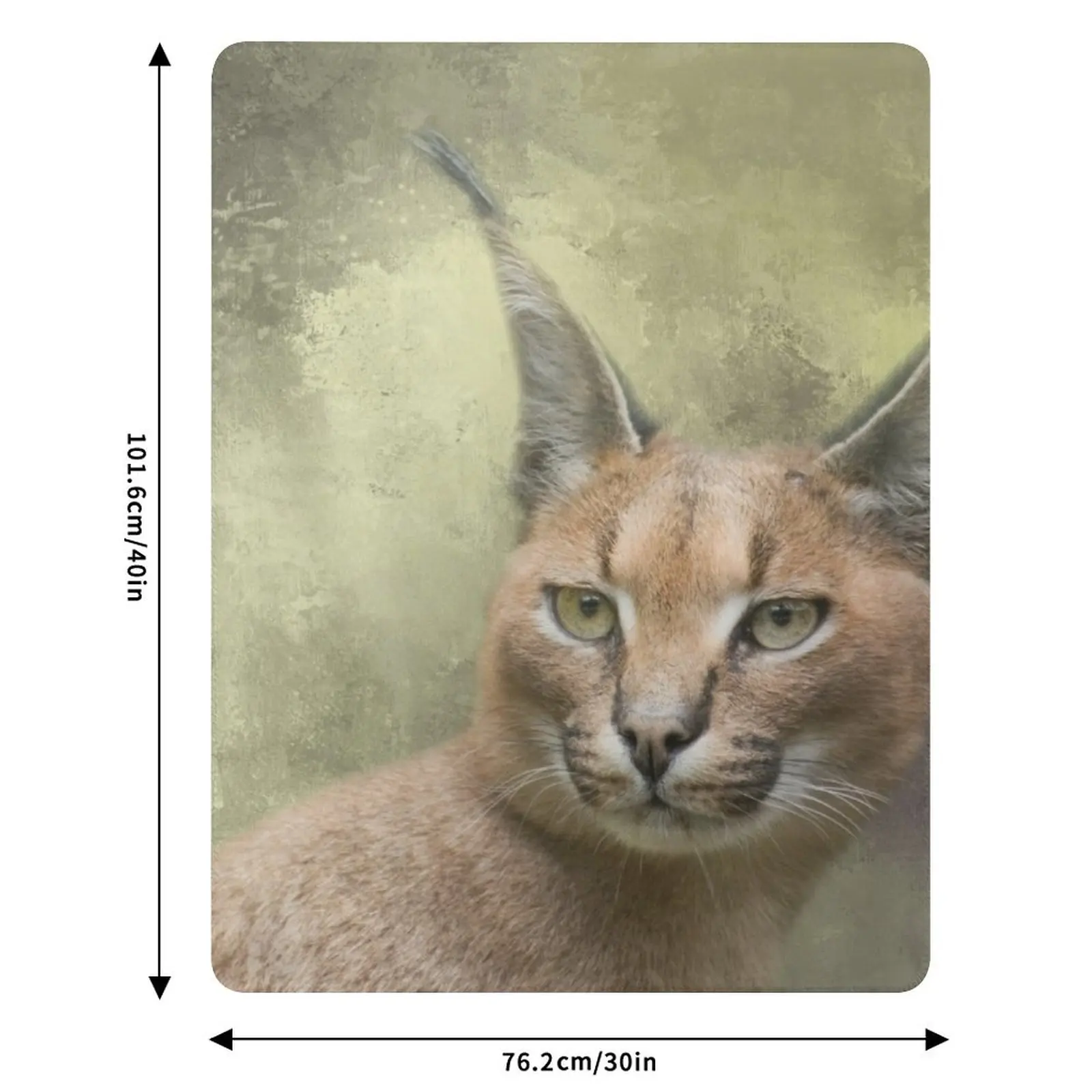 Caracal Cat Two Throw Blanket Long Lasting Soft Plush Blanket for Daily Use - view 6