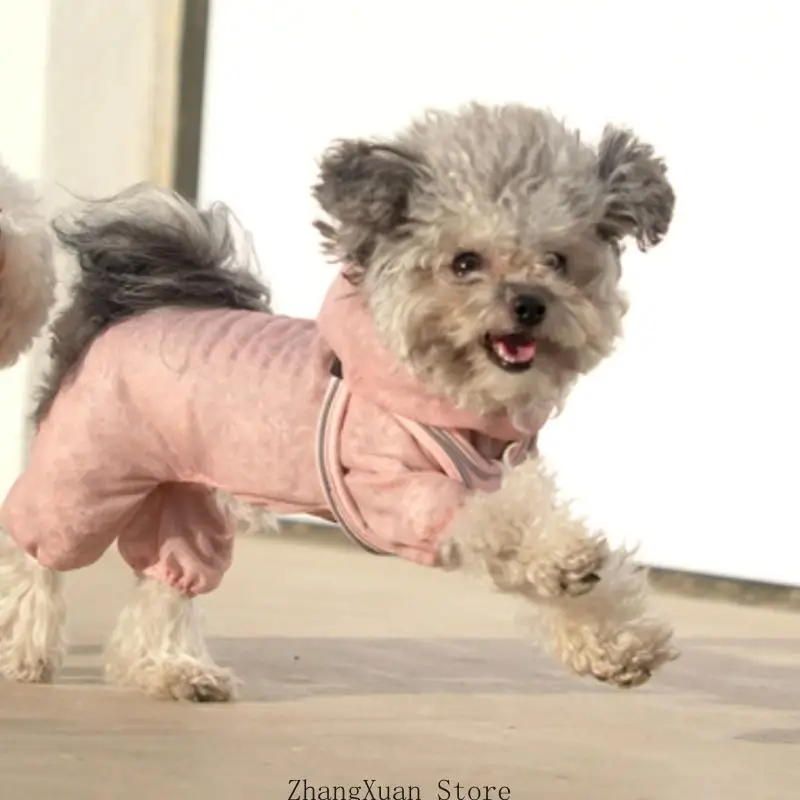 Atmungsaktive Outdoor-Bekleidung für Haustiere, Hundekleidung, Frühlings-Hundemesh für Hunde und Katzen 3XUF – Detail 4