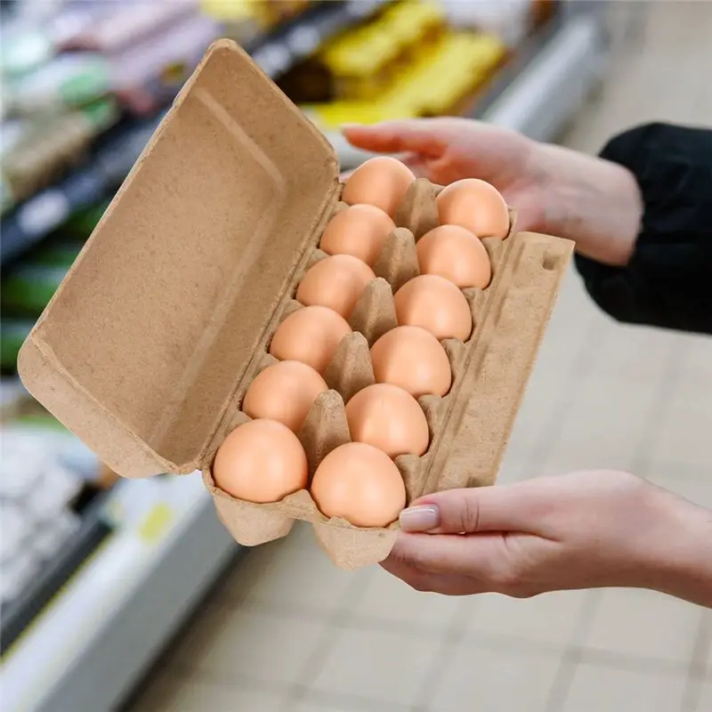 B-est 20PCS Cardboard Egg Cartons Blank Paper Pulp Egg Cartons One Dozen Egg Cartons Container Empty Egg Tray Pulp Egg Holder