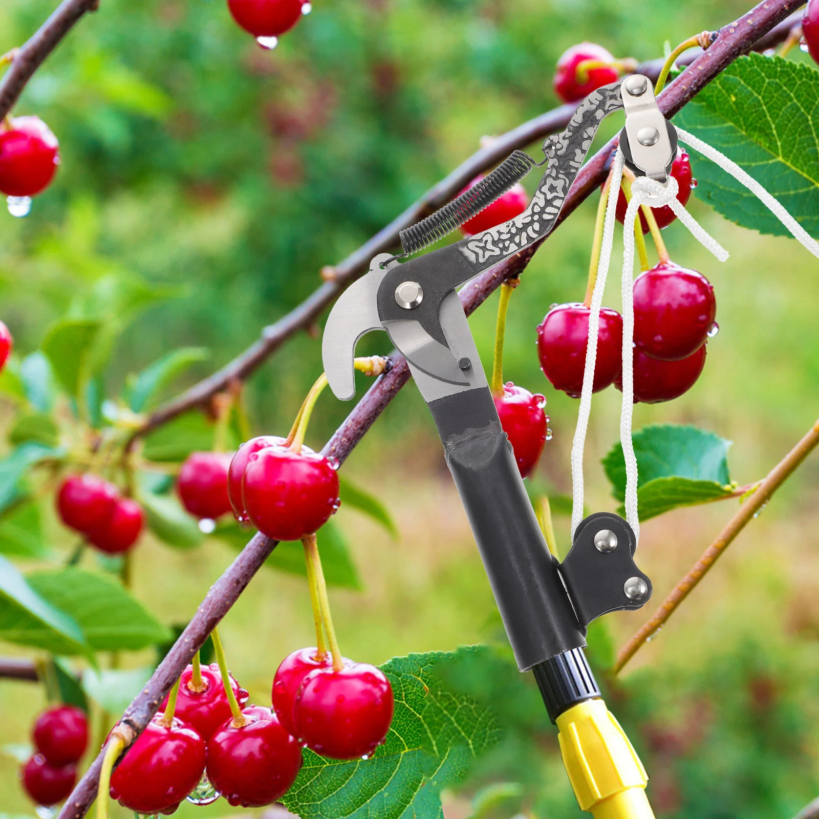 

1pc 1P Pruning Scissors Multi-Purpose Trimming Shears Garden Tools Fruit Branch Shear Labor-Saving Corrosion-Resistant High