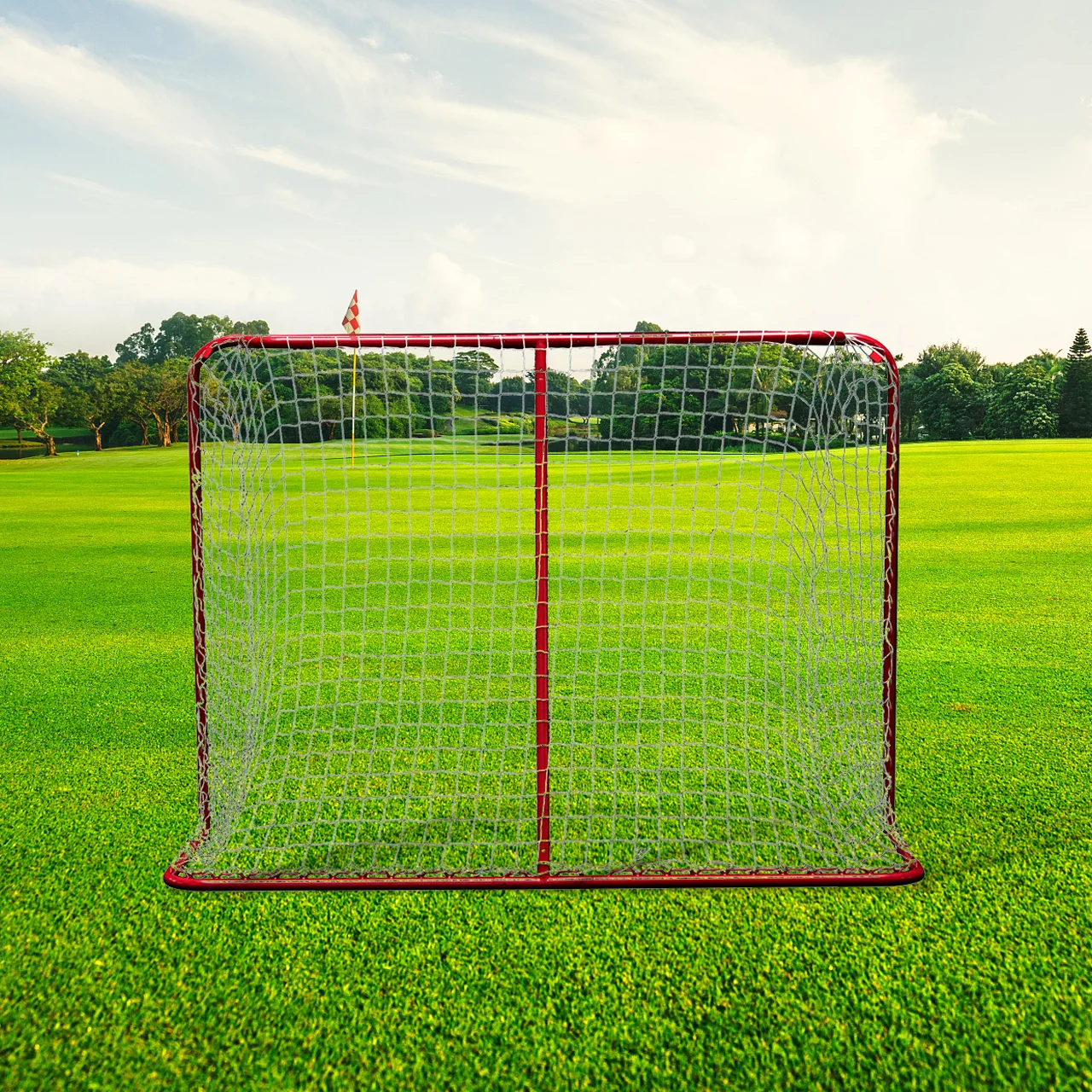 High Quality Steel Tube Folding Portable Ice Hockey goalpromote sales
