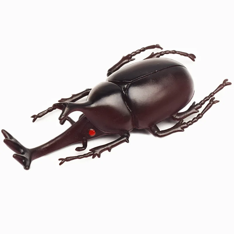 6 Style 13cm Simulation Beetle Model Toy Special Realistic Insect Model Toy Kindergarten Teaching Aid Prank Joke Tricky Toy