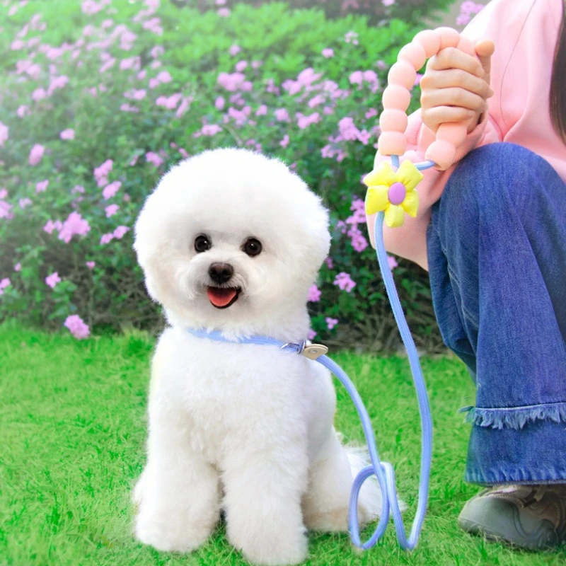 Dog P Rope Dog Training Anti-explosion Rush Out Walking Dog Leash Anti-break Free Dogs Chain Small Medium and Large Collar Perro
