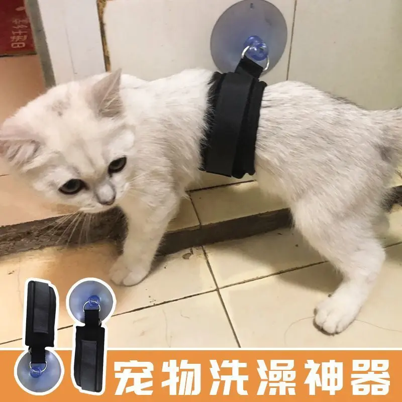 

Fixed suction cup for pet cat and dog bathing, anti scratch and anti tampering cleaning products for cats and dogs