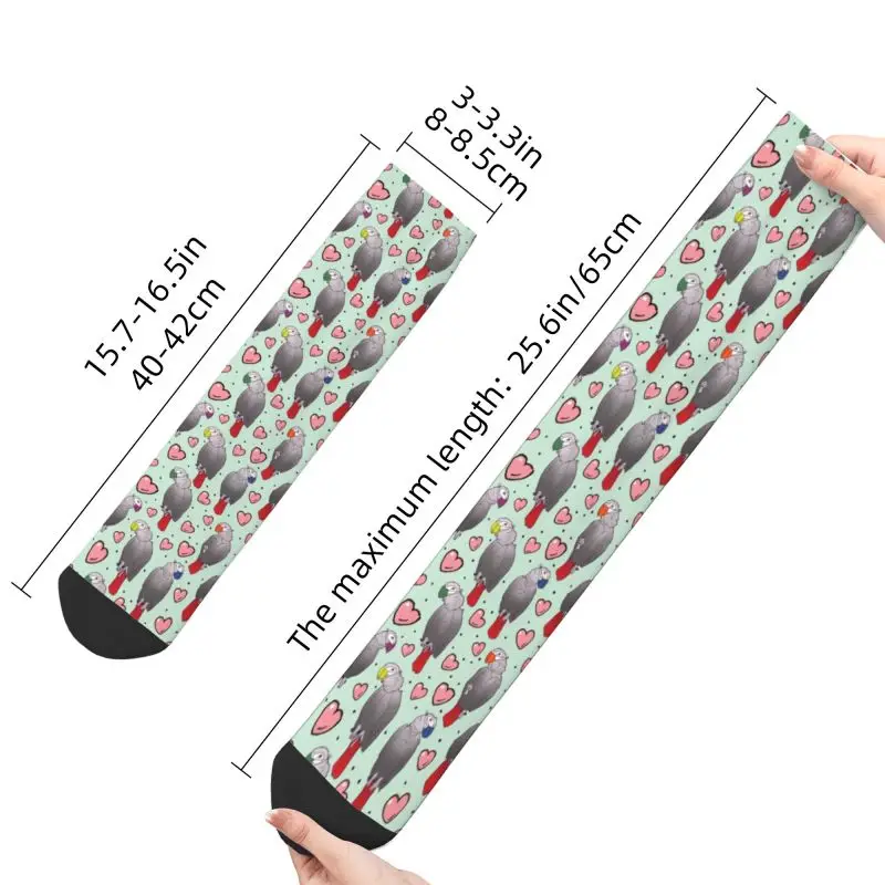 Chaussettes de perroquet gris africain pour hommes et femmes, imprimé drôle, mignon, Psittacine, oiseaux, équipage, été, automne, hiver