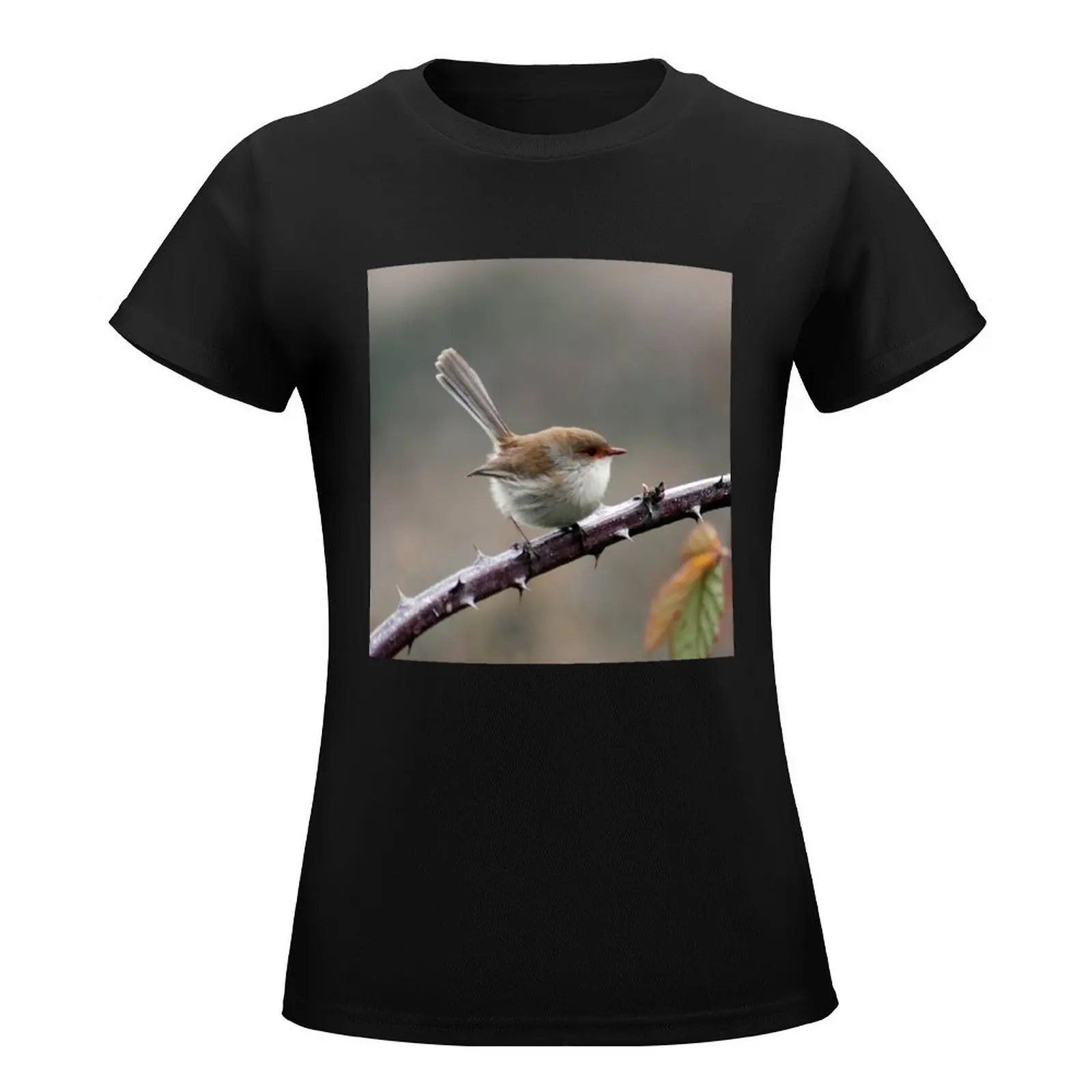 Australian Bird, Female Superb Fairy Wren, Wildlife Bird Photography T-Shirt tees kawaii clothes hippie clothes Women t-shirts