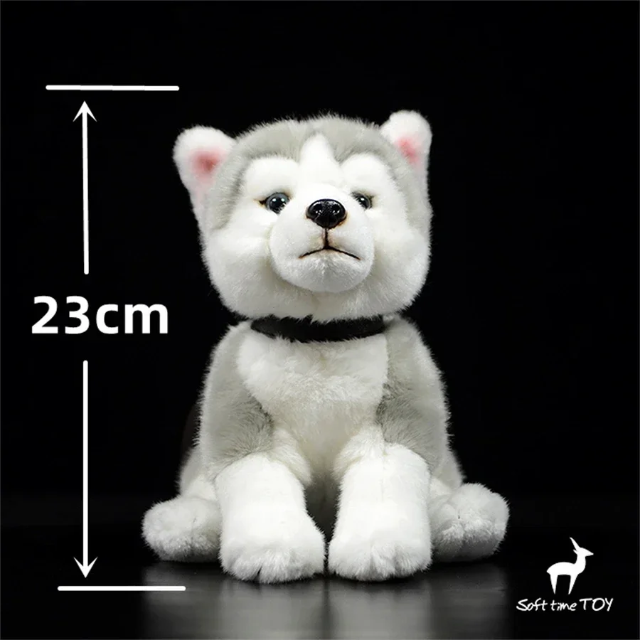 

Realistic Husky Plush Toy - Lifelike Eskimo Dog Stuffed Animal, Sled Dog Plushie, Alaskan Malamute Doll Kid Gifts Collectors