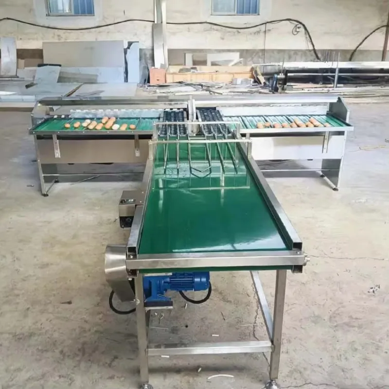 FOODLINE Customized Egg Processing Equipment Egg Sorting Machine Weighing Egg Grading Machine with Detecting Surface Defects