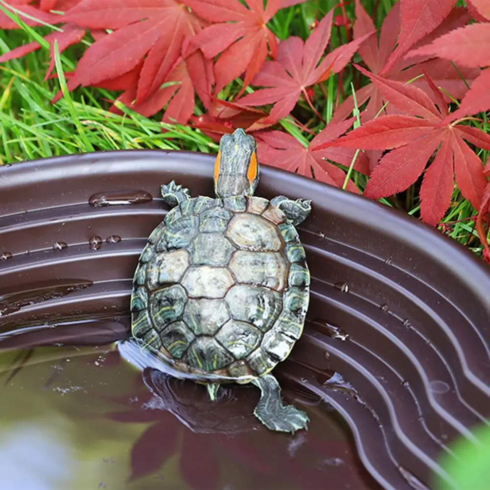 Bandeja de agua para tortugas, cuenco de alimentación de resina con rampa, plato de agua para tortugas semipaquáticas, dragones barbudos, lagartos, bandeja de baño para piscina