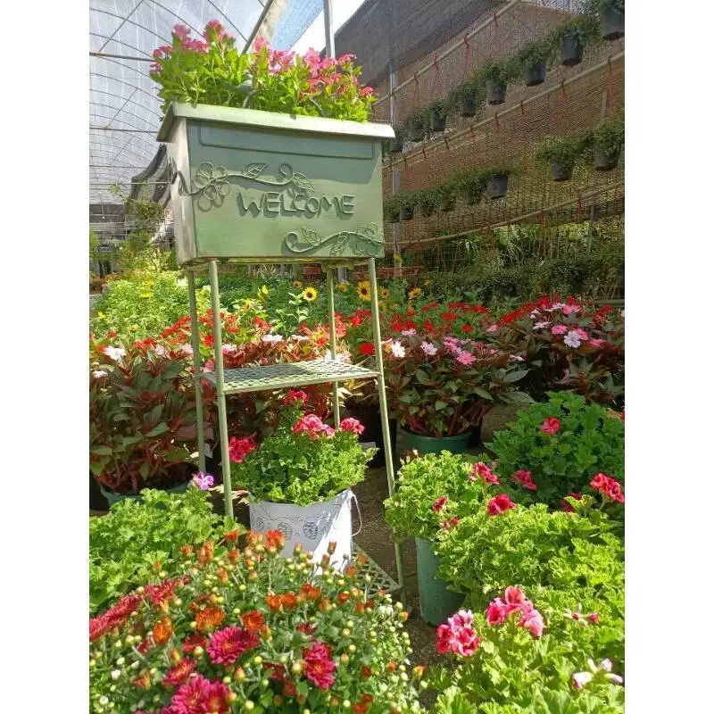 Rack & French Storage and Country Flower Style - Chic Iron for Courtyards Garden Outdoors Mailbox Stand for Flowers Plant Stands