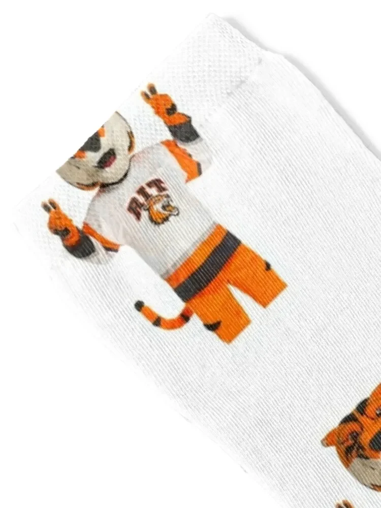 Rochester institute of technology ritchie the tiger gift i dea for RIT Students Socks winter Socks Girl Men's