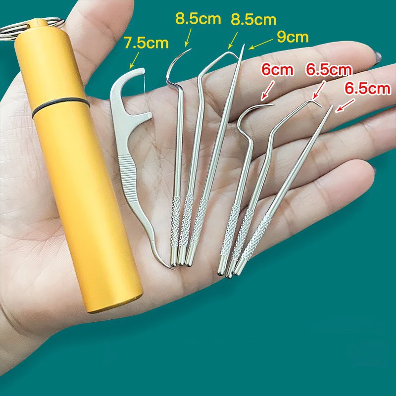 1 Set Toothpick Set Metal Stainless Steel Oral Cleaning Tooth Flossing Portable Toothpick Floss Teeth Cleaner With Storage Tube