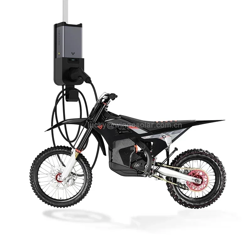 Racing Dirt Bike Electric motorcycle Arctic Leopard E-XE 880  Black and Red Max Load 150kg