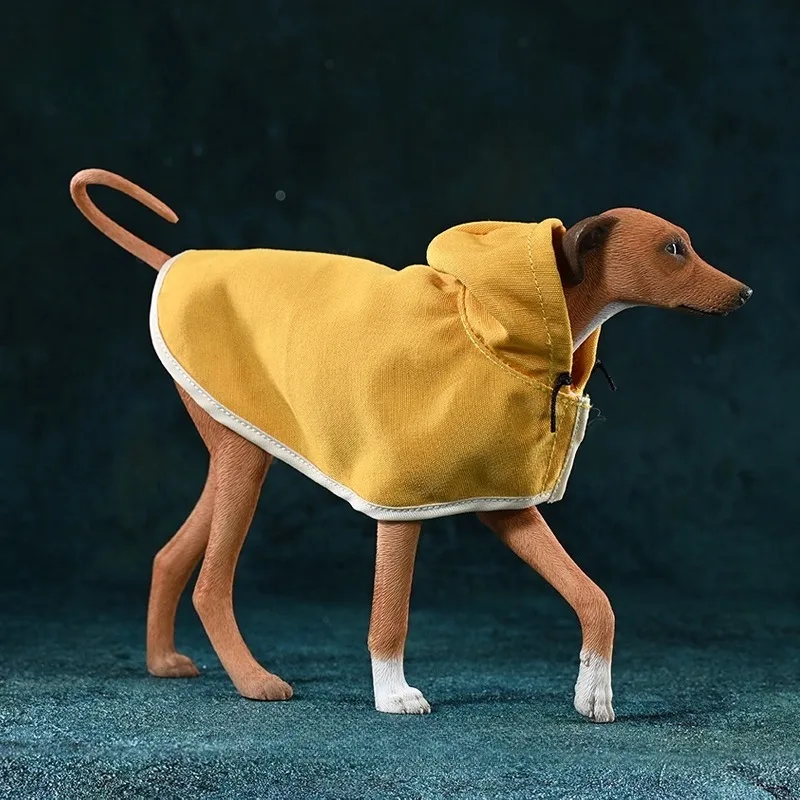 JXK 1/6 Skala Wąski Model Zwierzęcia Ozdobnego z Żywicy Symulującej, Pies Azawak, Owczarki z Peleryną, Model do Figur Akcji, Akcesoria Sceniczne