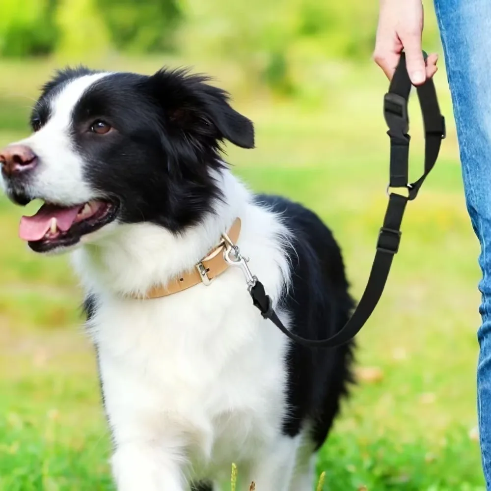 1pc Pet Dog And Cat Seat Belt, Car Headrest Restraint, Adjustable Safety Rope, Car Seat Belt