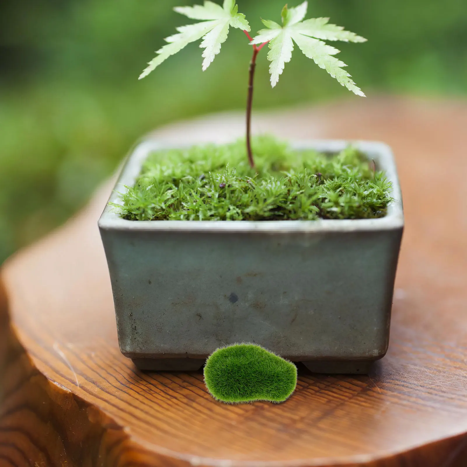 

20Pcs Artificial Moss Stone Rocks Realistic Simulation for Planters Decorative Faux Green Stones Home Office Shop Interior