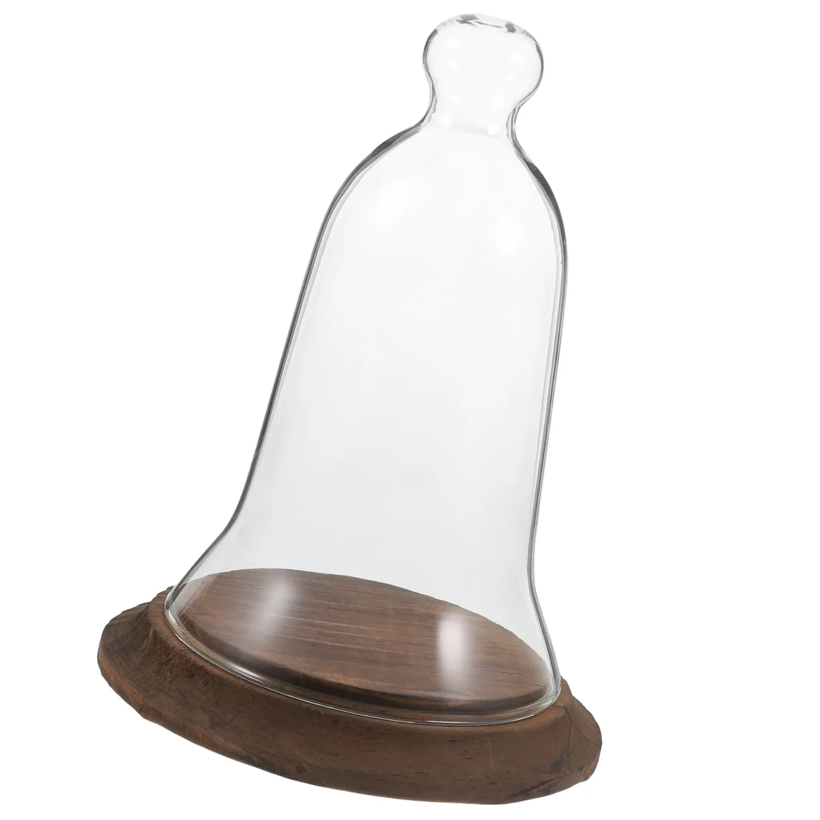 Glass Dome Display Cover High Borosilicate Clear Cloche Bell Jar Dustproof Wooden Base Flower Succulents Preserved Plant Display