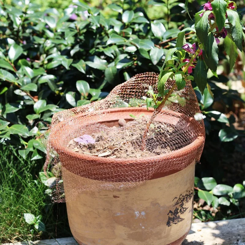 Thumbnail 3 - #48 Pest Control Ranking List in 2026