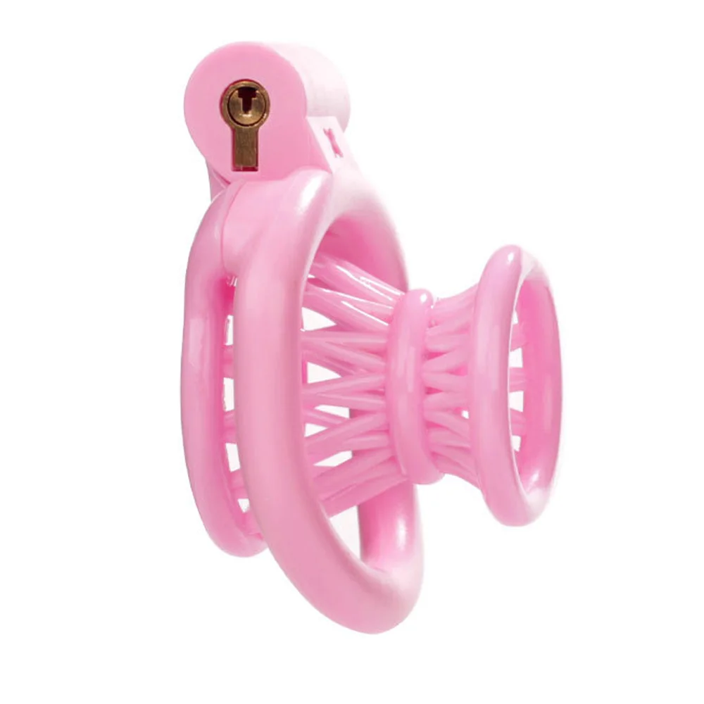 Chastity Cage BDSM Pink Inverted With 4 Size Cock ring For Man Brutal Adult Games Sissy Penis Ring Adult Erotic Sex Toy 18+ 2026 - view 2