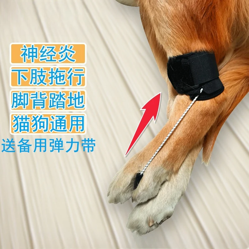 Disabled Dog Hind Leg Assist Hind Limb Weakness Fractured Instep
