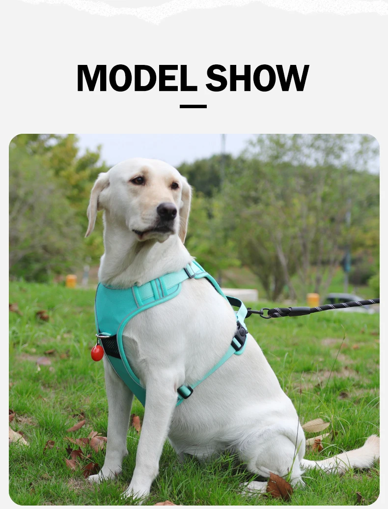 Kein ziehendes Hundegeschirr mit AirTag-Halter, Griff und vorderem Clip – verstellbare, reflektierende, weich gepolsterte Hundegeschirrweste zum Spazierengehen, Tra – Detail 13