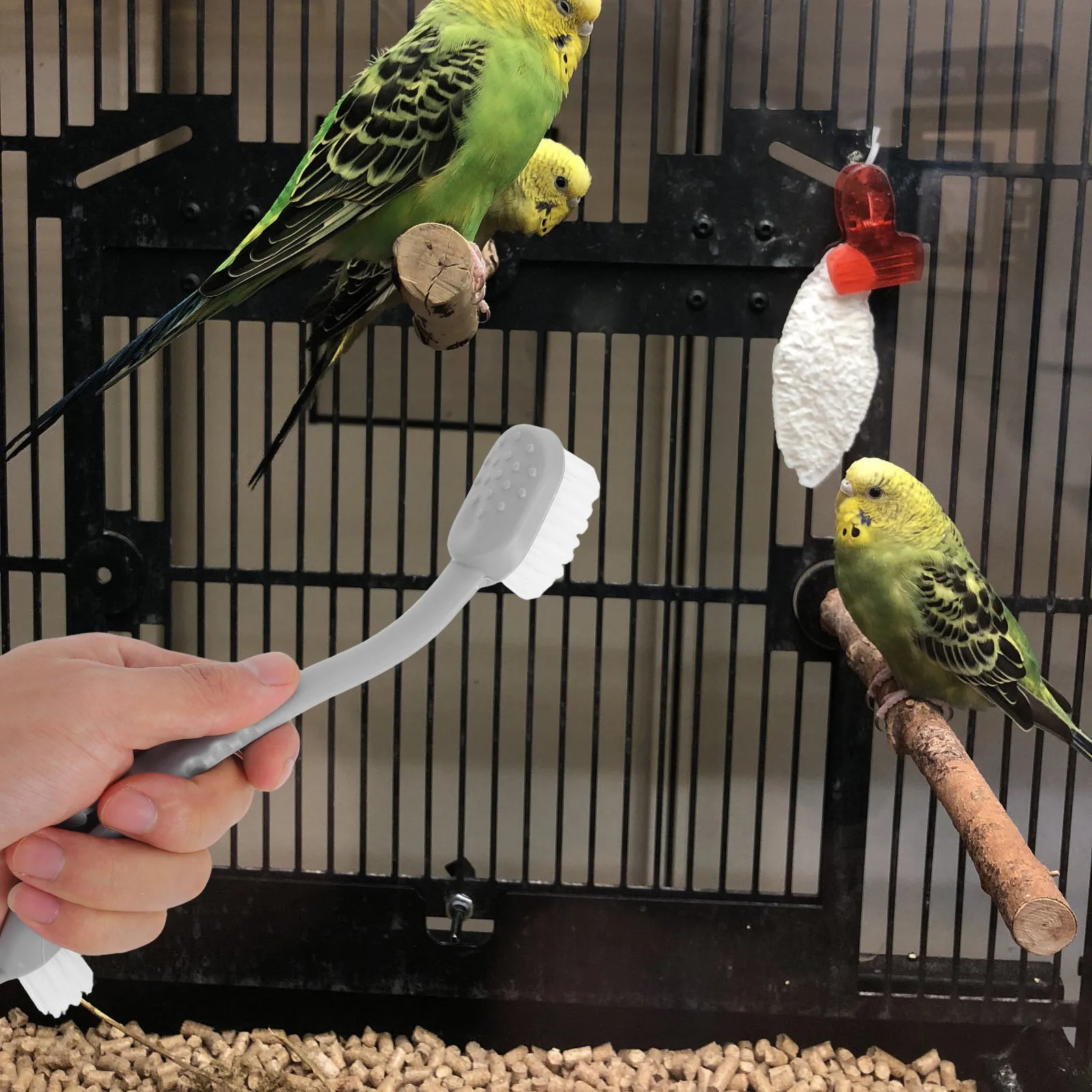 

4Pcs Bird Cage Cleaner Long Handle Dual Brush Heads Effective Cleaning Tool for Parrots Small Animal Cage Droppings Remover